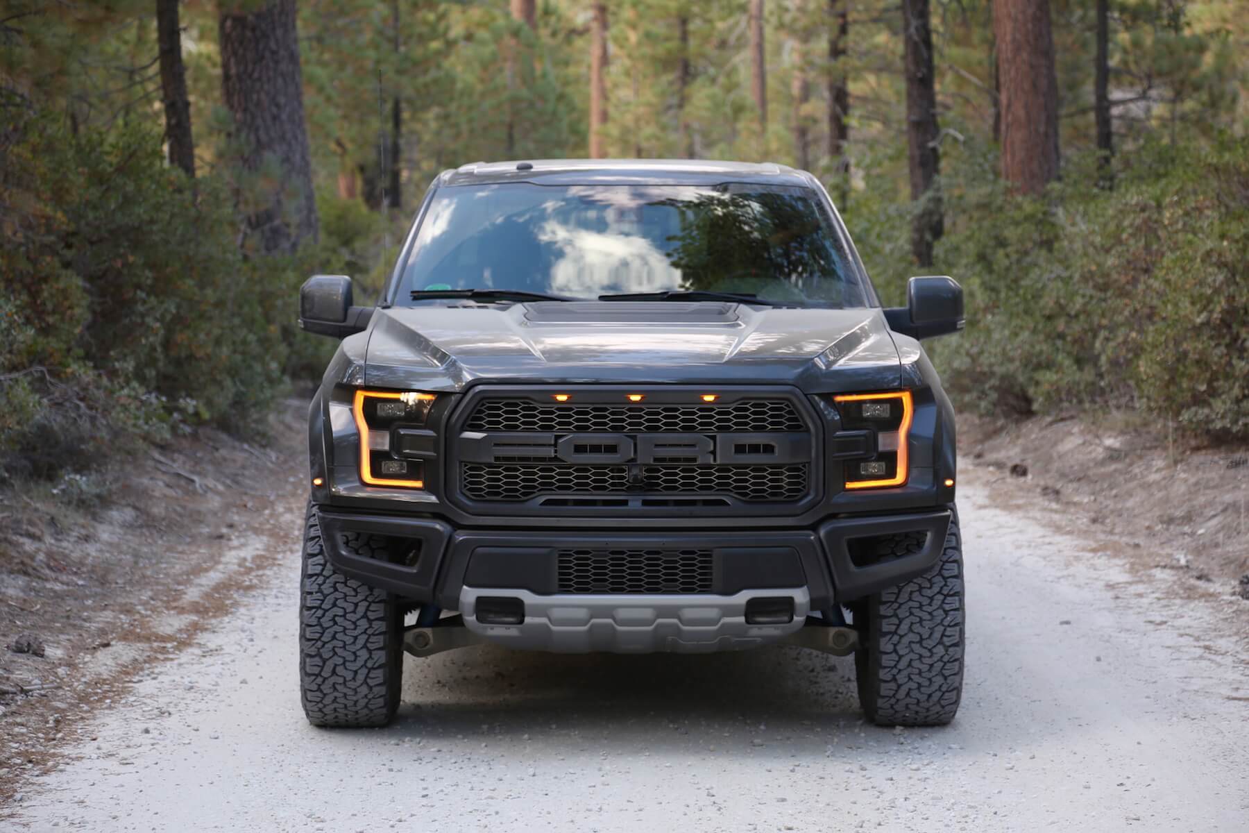 Raptor แนวเรียบหรู